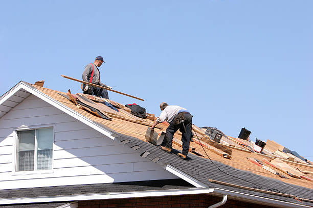 Best Roof Inspection  in Felida, WA